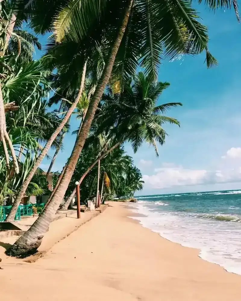 Viajes a Punta Cana
